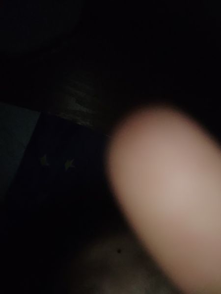 Buyer review image 5