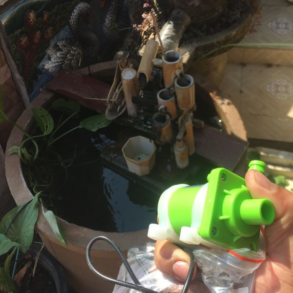 Buyer review image 1