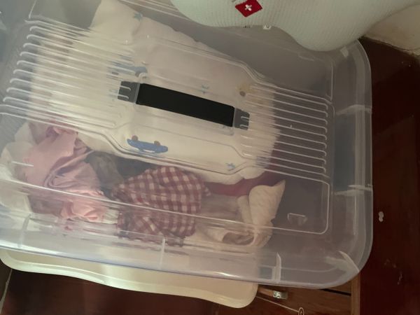 Buyer review image 5