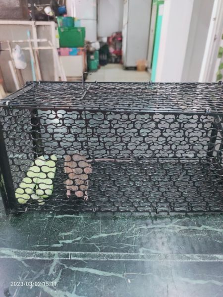 Buyer review image 3