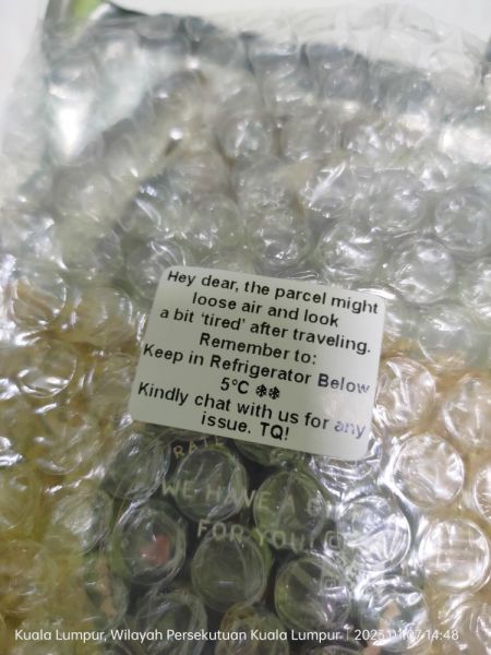 Buyer review image 2