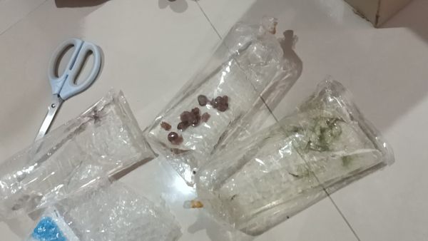 Buyer review image 4