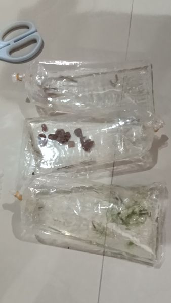 Buyer review image 5