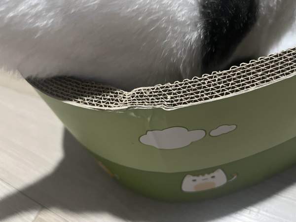 Buyer review image 5