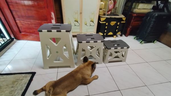 Buyer review image 2
