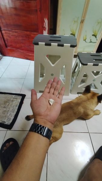 Buyer review image 4