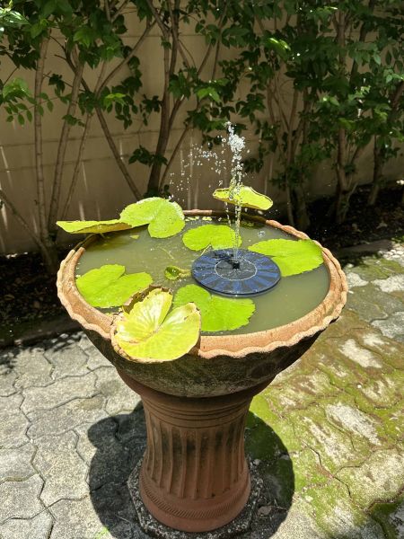 Buyer review image 5