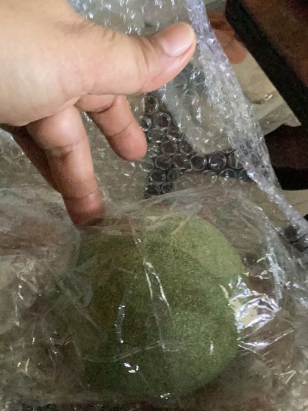 Buyer review image 2
