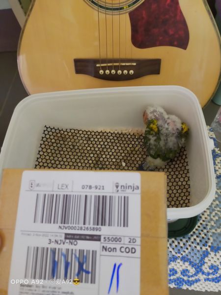 Buyer review image 2
