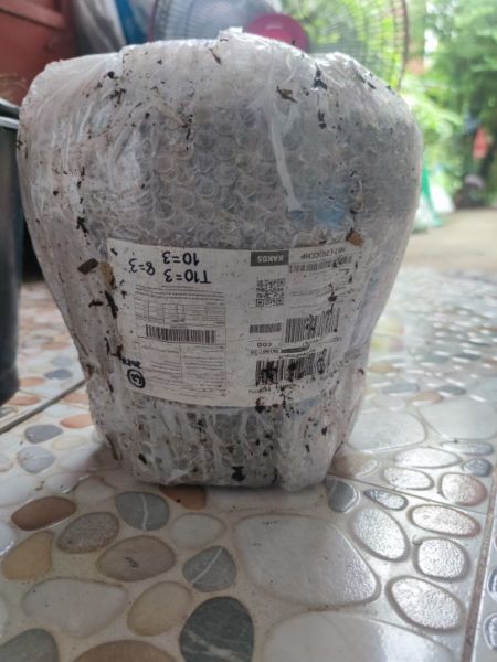 Buyer review image 5