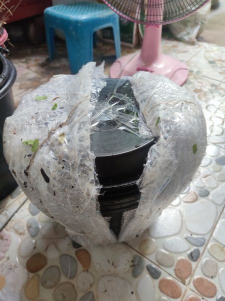 Buyer review image 4