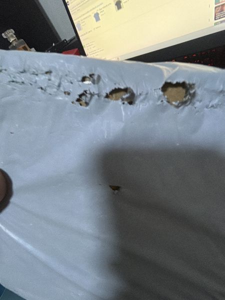 Buyer review image 1
