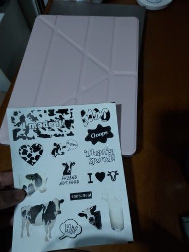 Buyer review image 2