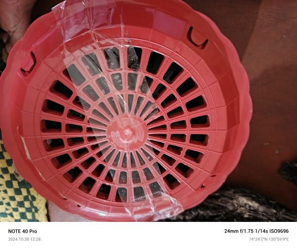 Buyer review image 4