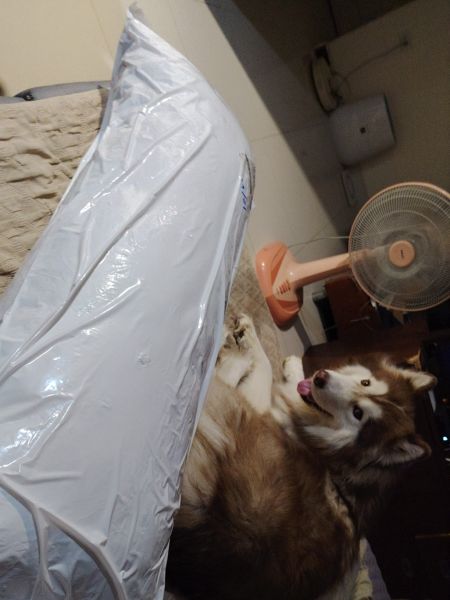 Buyer review image 1