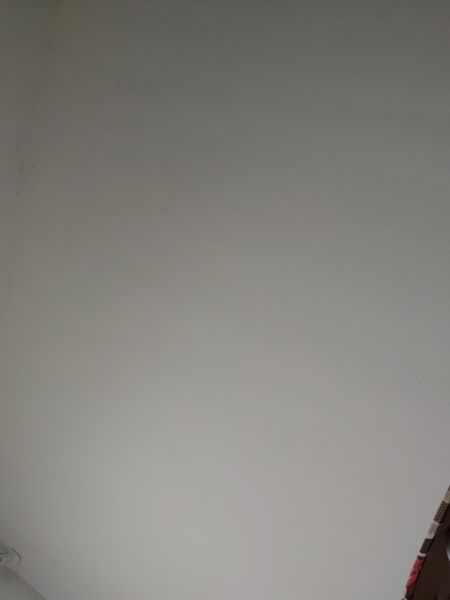 Buyer review image 5