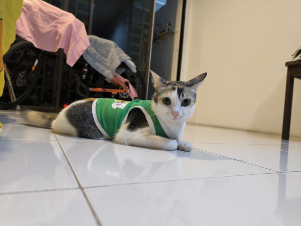 Buyer review image 2