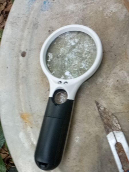 Buyer review image 5