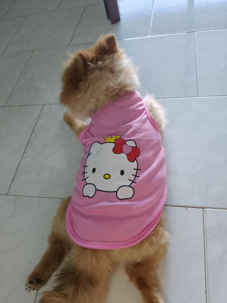Buyer review image 1