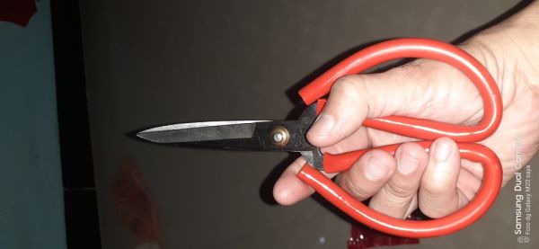 Buyer review image 2