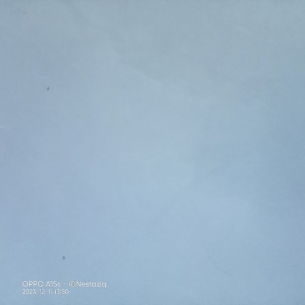 Buyer review image 5