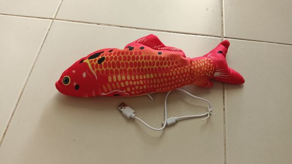 Buyer review image 3