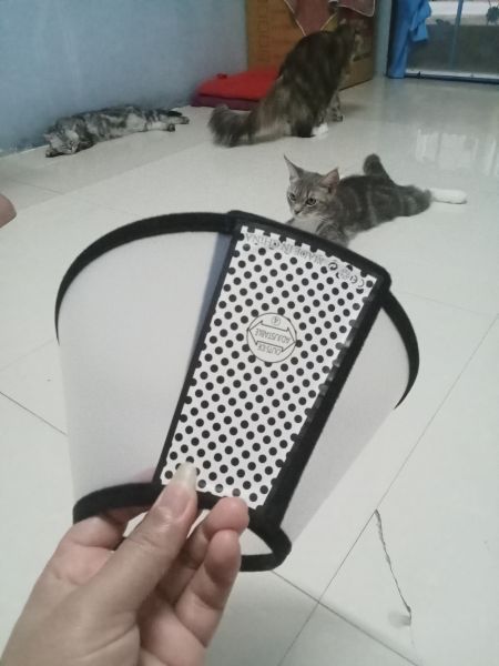 Buyer review image 4