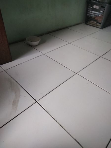 Buyer review image 4