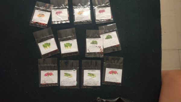 Buyer review image 2
