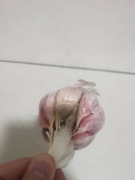 Buyer review image 4