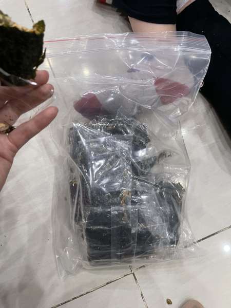 Buyer review image 1