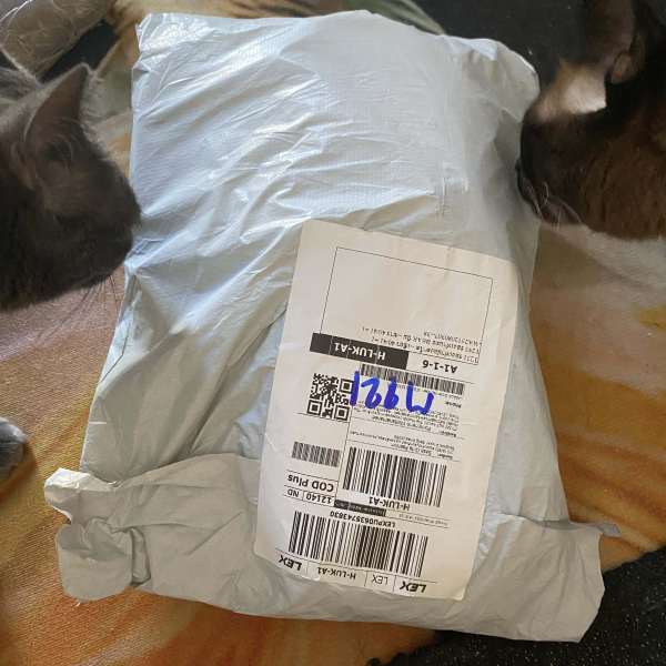 Buyer review image 2