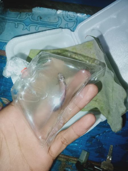 Buyer review image 2