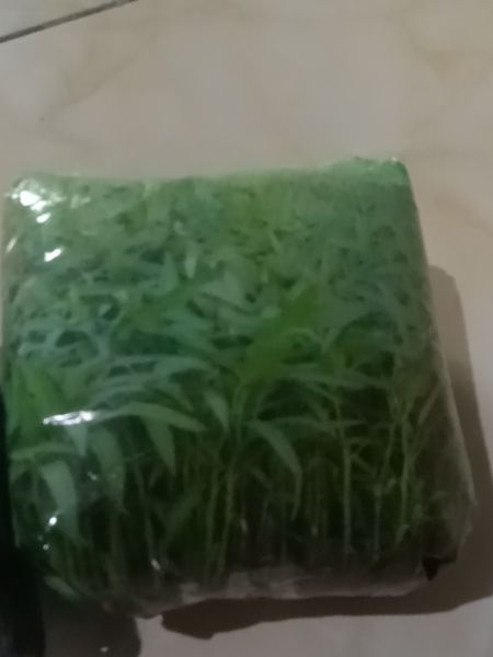 Buyer review image 4