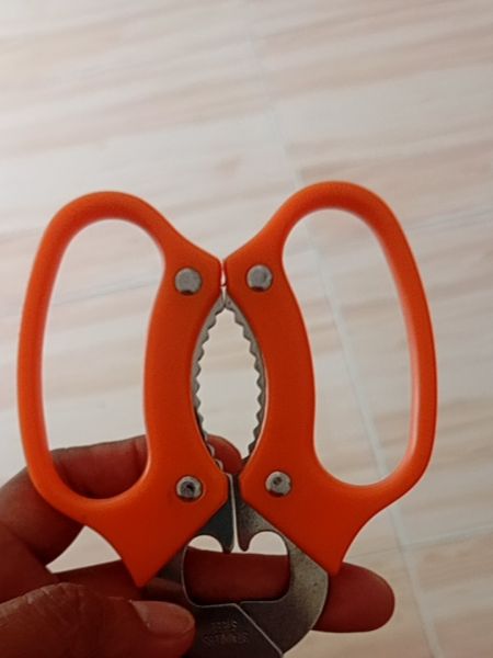 Buyer review image 4