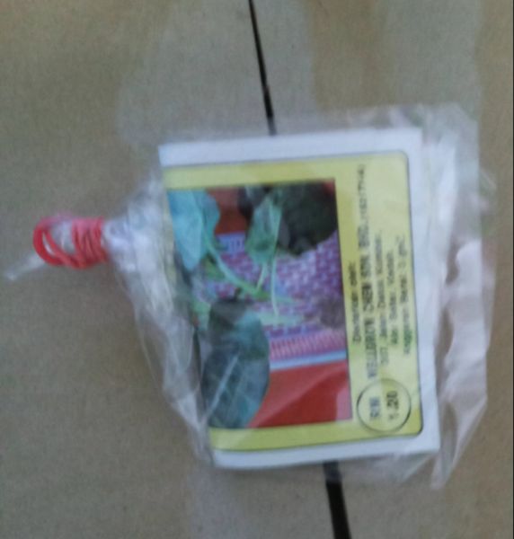 Buyer review image 2