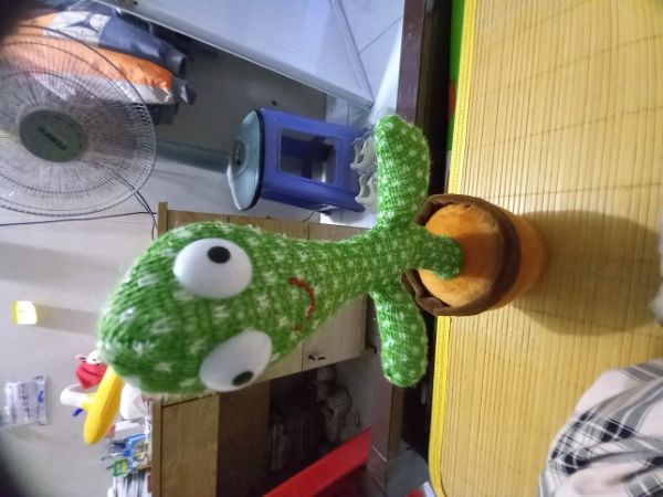 Buyer review image 2