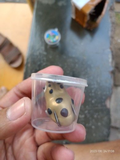 Buyer review image 2