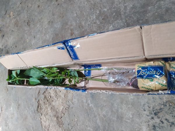 Buyer review image 2