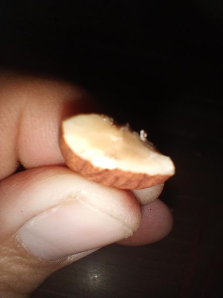 Buyer review image 3