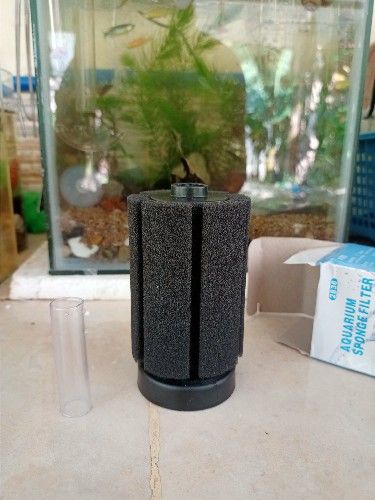 Buyer review image 3
