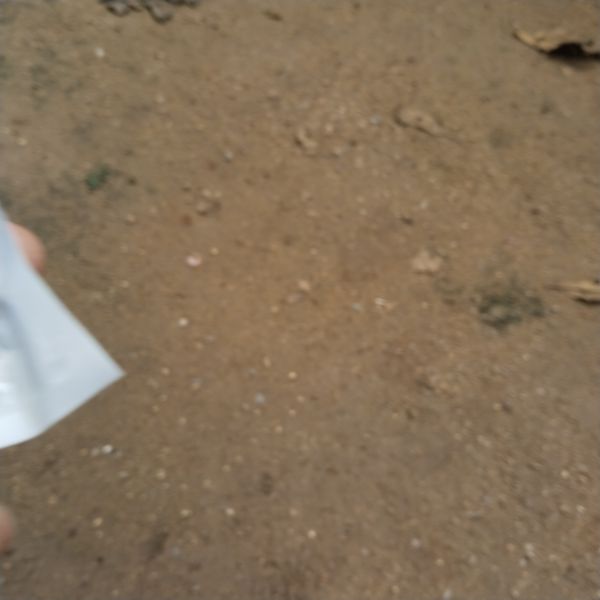 Buyer review image 4
