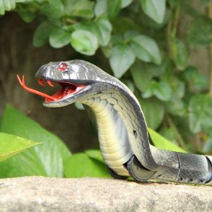 JM 3D Toy Lifelike Realistic King Naja Cobra Long Range Snake Joke Scary Trick Remote Control Boy Toys Halloween Christmas Easter Party