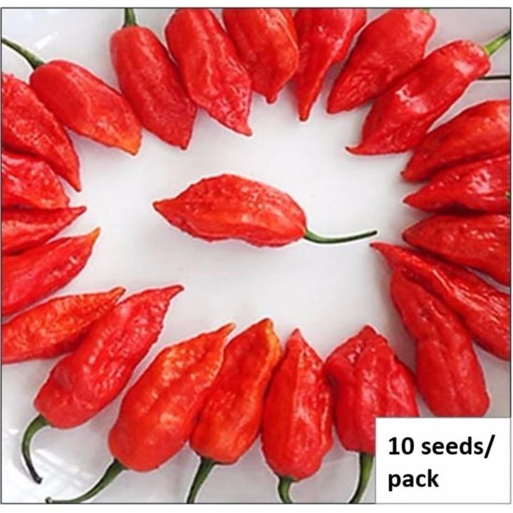 Seeds for Bhut Jolokia Chilli Ghost Pepper (Red Naga) Benih Cili Hantu ...