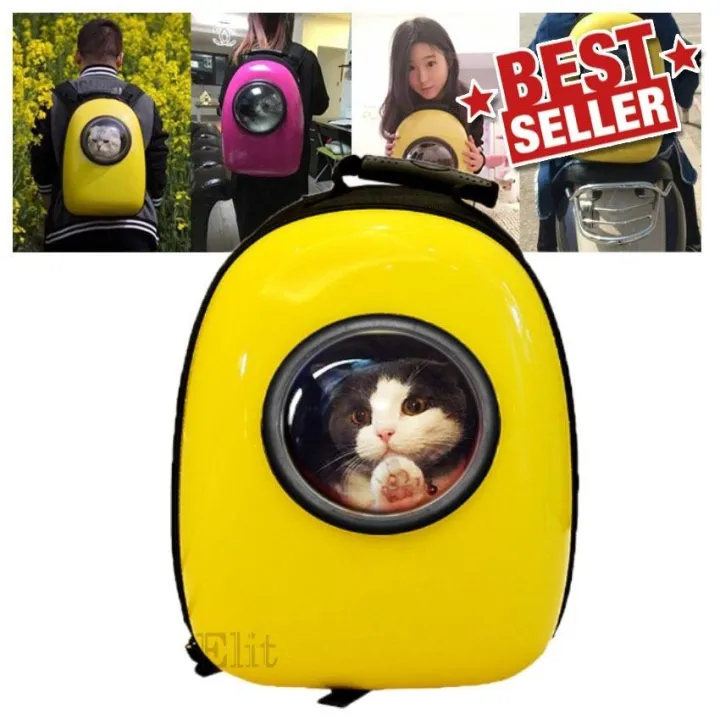 10 อันดับ กระเป๋าใส่แมวและสัตว์เลี้ยง ยี่ห้อไหนดี? อัปเดตปี 2025