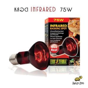 Exo Terra Infrared 75W หลอดไฟอินฟราเรด สำหรับกกไฟกลางคืน