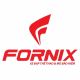 Fornix