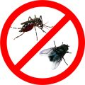 Thuốc Diệt Côn Trùng Permecide 50Ec 100Ml. 