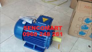 Động Cơ Toàn Phát 3kw 3 Pha Vòng Tua 3000 vòng/phút