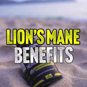 แคปซูลเห็ดหลินจือสิงโต – ผงดอกเห็ด – ปราศจากจีเอ็มโอและกลูเตน – 60 หรือ 120 แคปซูล (ปริมาณสำหรับ 1–2 เดือน) – สำหรับใช้ประจำวัน